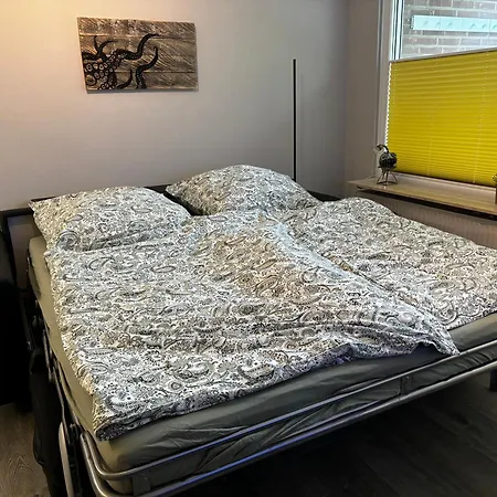 Oktopus Apartment